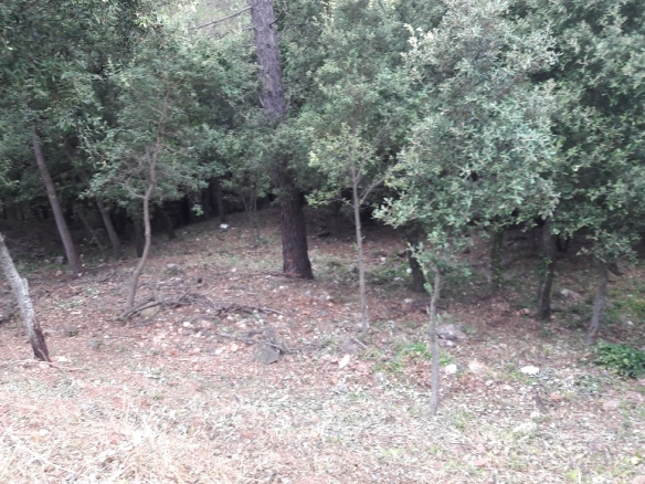 Terreno en venta en Les Pedritxes, Matadepera