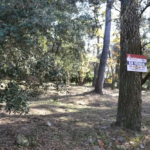 Parcel·la plana a Cavall Bernat