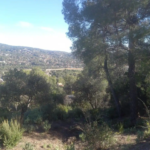 TERRENY AMB MAGNIFIQUES VISTES