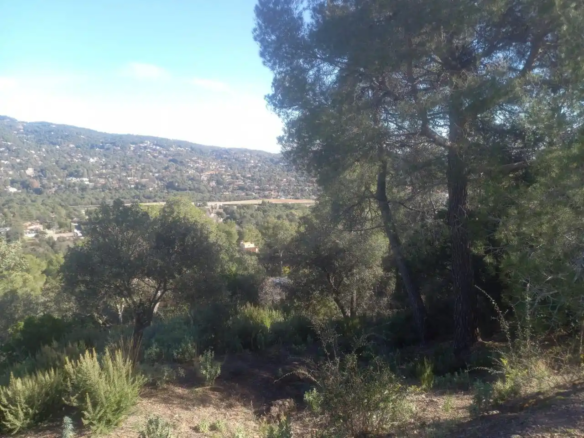 TERRENO CON MAGNIFICAS VISTAS